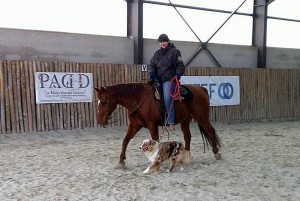 Animal-Emoi-stage-horse-and-dog-trail-Carole-et-Jolly