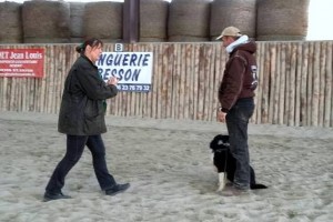 Animal-Emoi-stage-horse-and-dog-trail-Jérémy-et-Bucky