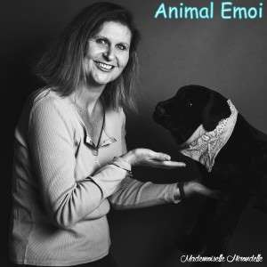 Animal Emoi Cécile CHAPELON