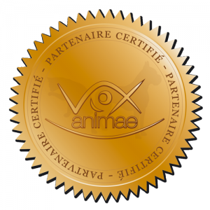 badge-partenairecertifie_vox_500x500px